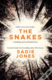 Capa do artigo Snakes