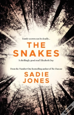 Capa do artigo Snakes