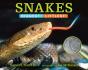 Snakes - Preview