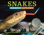 Capa do artigo Snakes