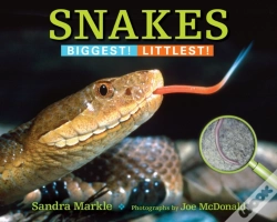 Capa do artigo Snakes