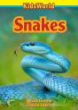 Snakes - Preview