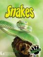Snakes - Preview