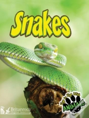 Capa do artigo Snakes