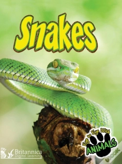 Capa do artigo Snakes