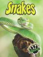 Snakes - Preview