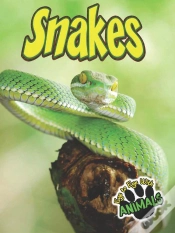 Capa do artigo Snakes