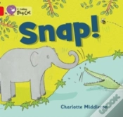 Capa do artigo Snap!