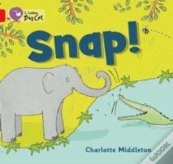 Capa do artigo Snap!