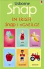 Snap In Irish - Preview