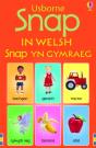 Snap In Welsh - Preview