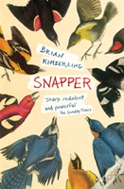Capa do artigo Snapper