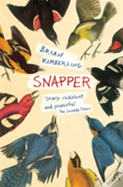 Capa do artigo Snapper