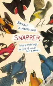 Capa do artigo Snapper