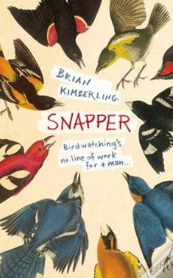 Capa do artigo Snapper