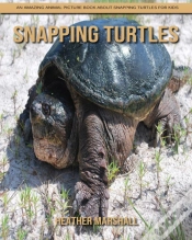 Capa do artigo Snapping Turtles
