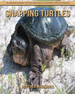 Capa do artigo Snapping Turtles