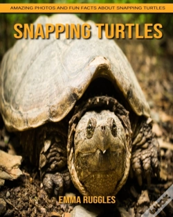 Capa do artigo Snapping Turtles