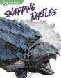 Snapping Turtles - Preview
