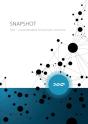 Snapshot - Nxt Unsurpassable Blockchain Solutions - Preview