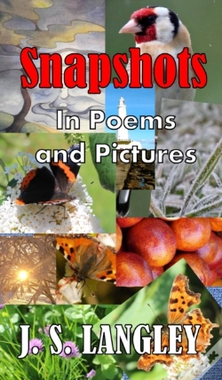 Capa do artigo Snapshots