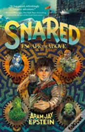 Capa do artigo Snared Escape To The Above