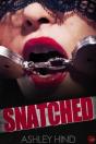 Snatched - Preview
