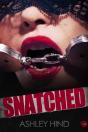 Snatched - Preview