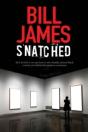 Snatched - Preview
