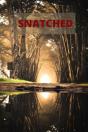 Snatched - Preview