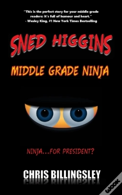 Capa do artigo Sned Higgins