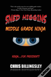 Capa do artigo Sned Higgins