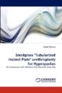 Snodgrass "Tubularized Incised Plate" Urethroplasty For Hypospadias - Preview