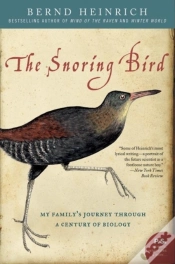 Capa do artigo Snoring Bird