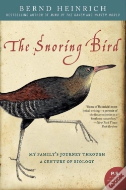 Capa do artigo Snoring Bird