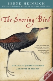 Capa do artigo Snoring Bird