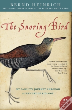 Capa do artigo Snoring Bird