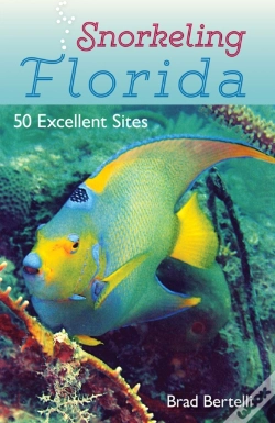 Capa do artigo Snorkeling Florida