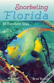Capa do artigo Snorkeling Florida