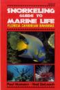 Snorkeling Guide To Marine Life - Preview