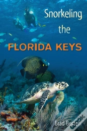 Capa do artigo Snorkeling The Florida Keys
