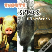Capa do artigo Snouts, Spines, And Scutes