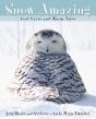 Snow Amazing - Preview