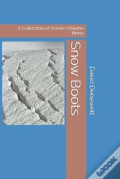 Capa do artigo Snow Boots