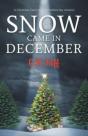 Snow Came In December - Preview