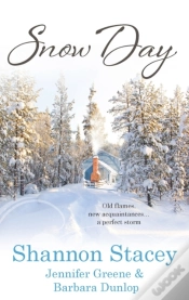 Capa do artigo Snow Day