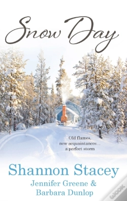 Capa do artigo Snow Day