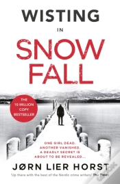 Capa do artigo Snow Fall
