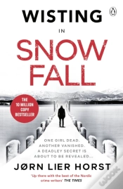 Capa do artigo Snow Fall