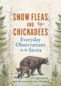 Snow Fleas And Chickadees - Preview